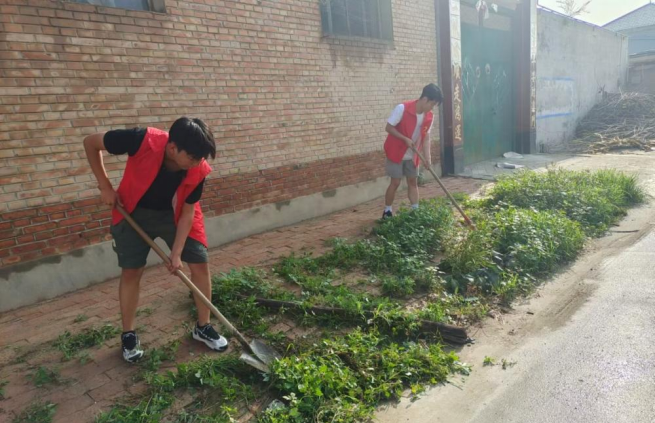 学思呼应,知行合一——新利体育暑期社会实践队助力乡村振兴